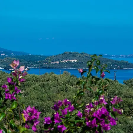 Villa Elegant, Private With Sea View,